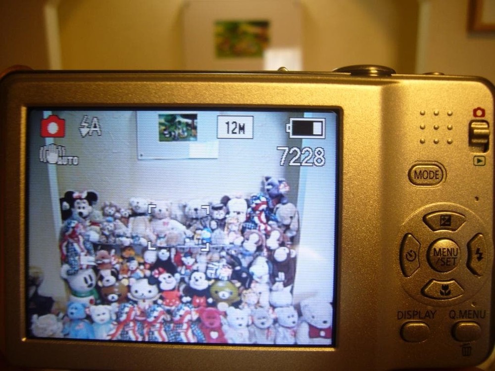 Panasonic LUMIX DMC-FS10 Silver Compact Digital Camera Full Set Tested