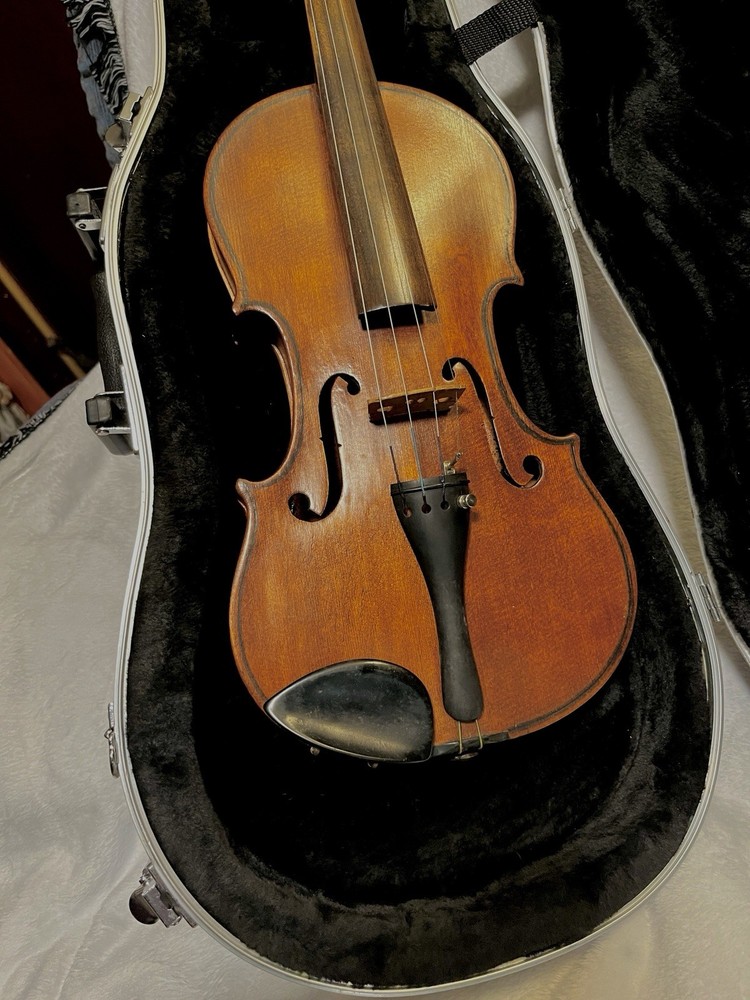 BIG Viola Thermoplastic Hard case