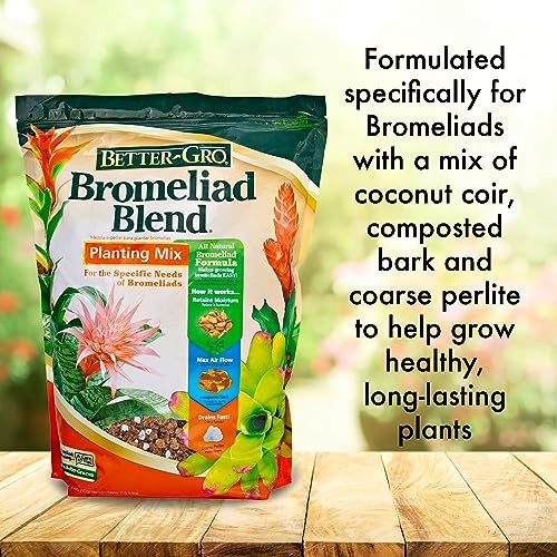 Bromeliad Blend 8 Quart