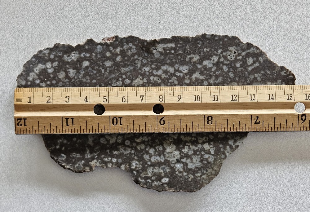 Odd Lapidary Slab 116 Grams