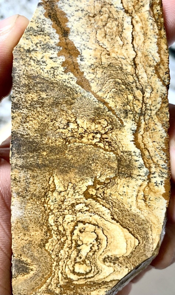 african queen picture jasper