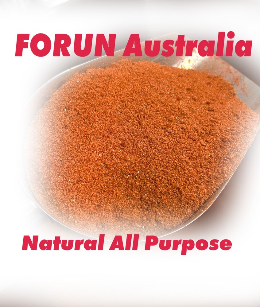 FORUN All Purpose Seasoning 500G