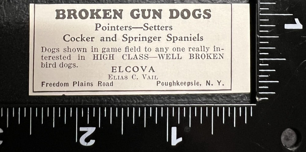 Poughkeepsie NY Pointers Setters Elcova 1934 Advertising Print