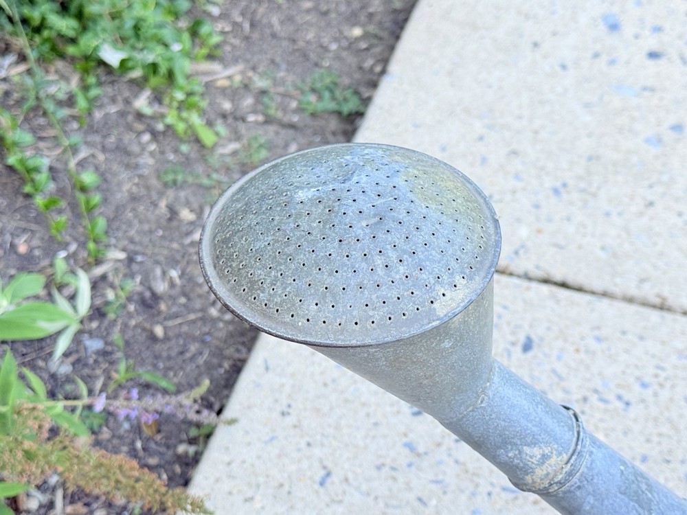 RARE Antique GERMAN BAT GALVANIZED Watering Can