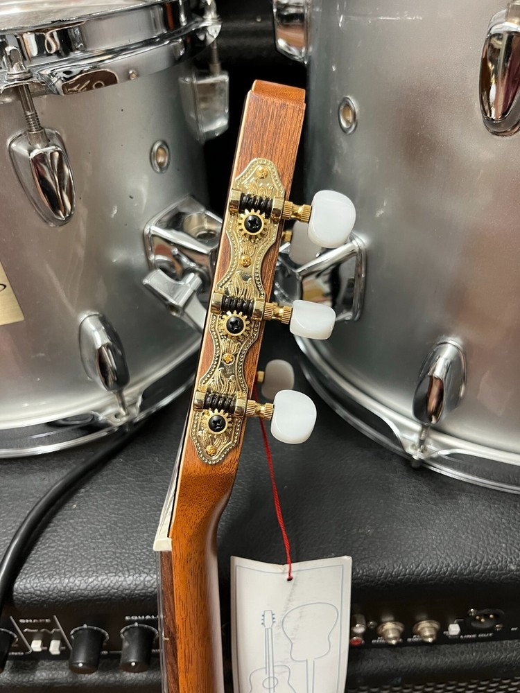 Godin Motif Classical guitar