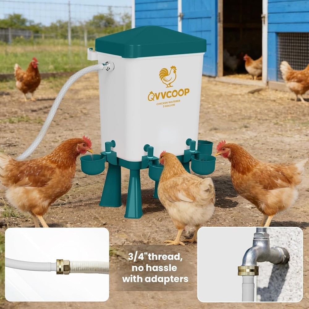 Automatic Chicken Waterer Large Chicken Waterer System Pou