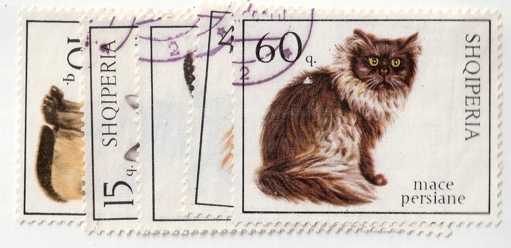 Albania      965 - 970       used