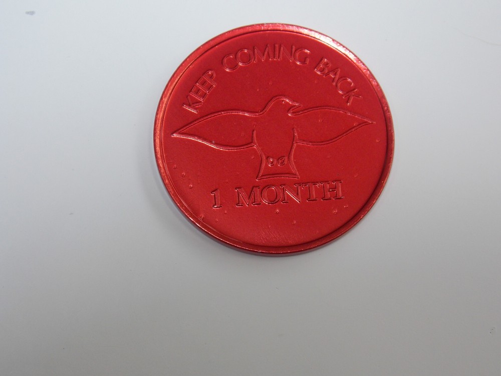 Alcoholics Anonymous - Recovery Token - 1 Month
