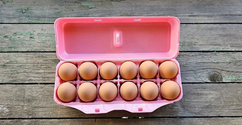 Styrofoam Bulk Egg Cartons (50 pack) Pink