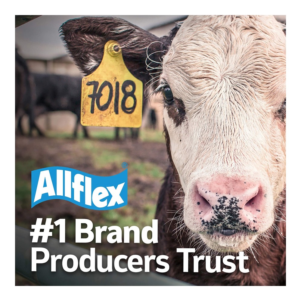 Global Large, Blank (25) Color: White