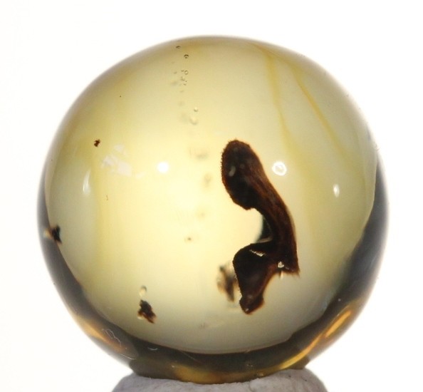 ++ PERFECT LEAF in Mexican Amber Sphere 11mmd