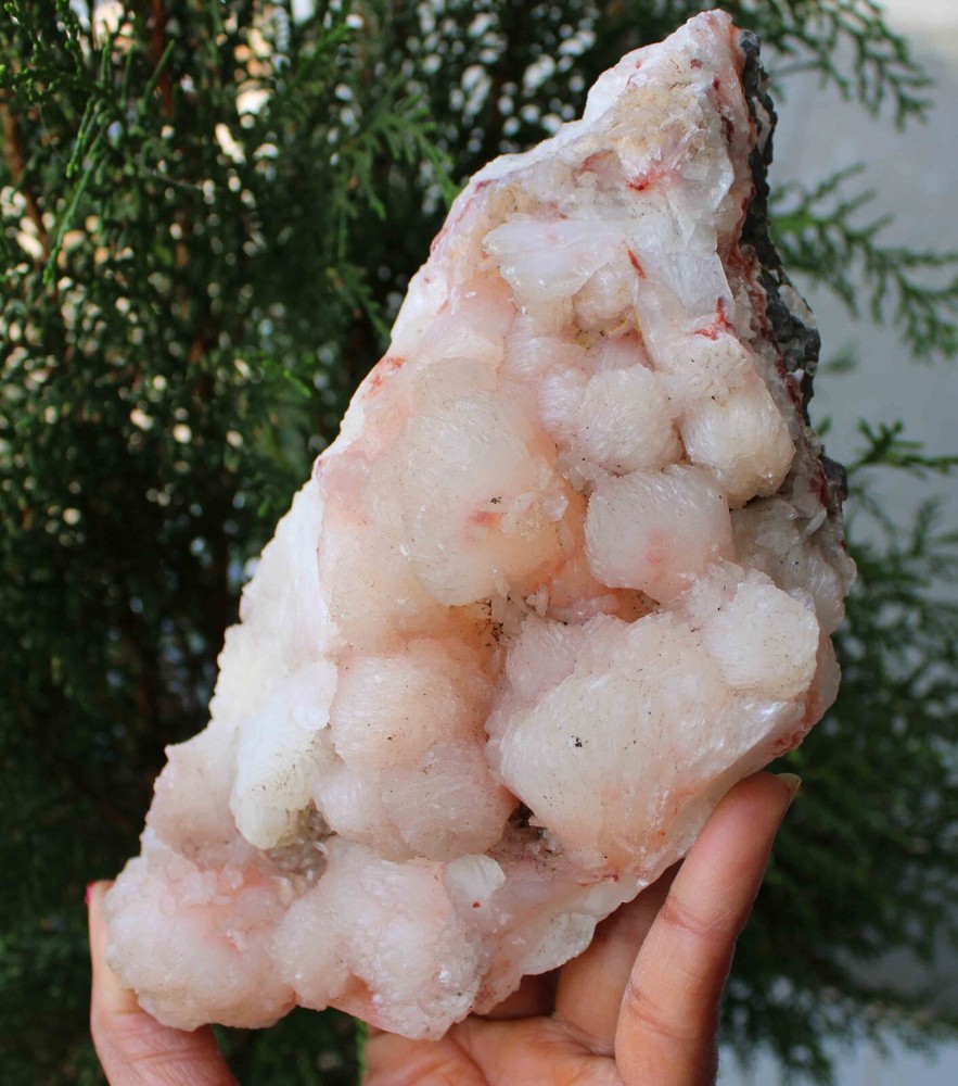 Stilbite On Matrix Minerals Specimen #M19