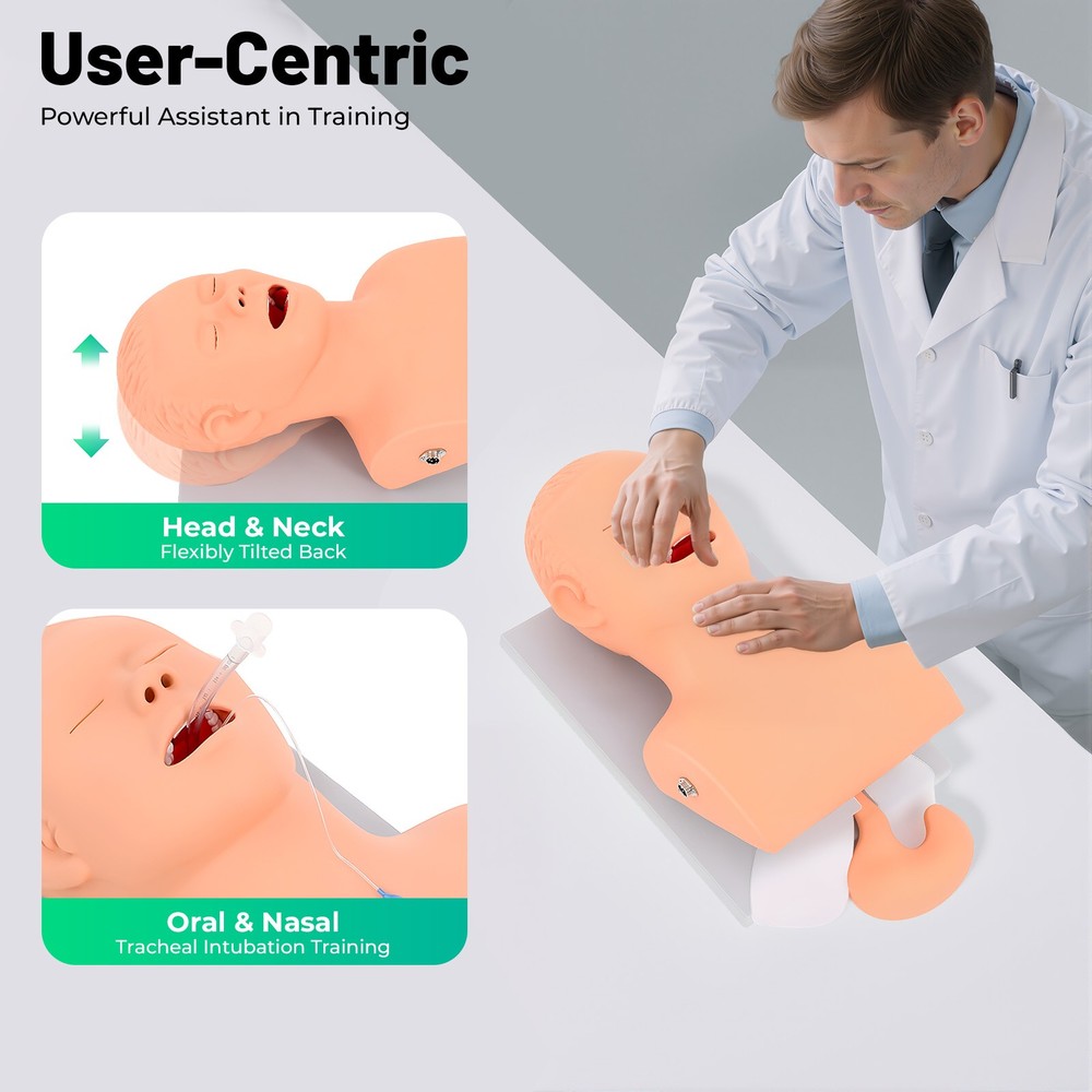 Intubation Model Lab Intubation Airway Management Training Model Teaching Model
