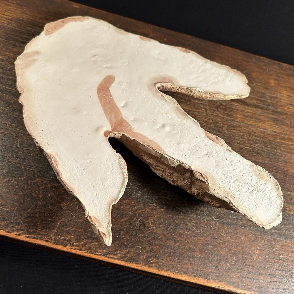 Vintage Dinosaur Footprint Plaster Cast Mold PRIORITY MAIL