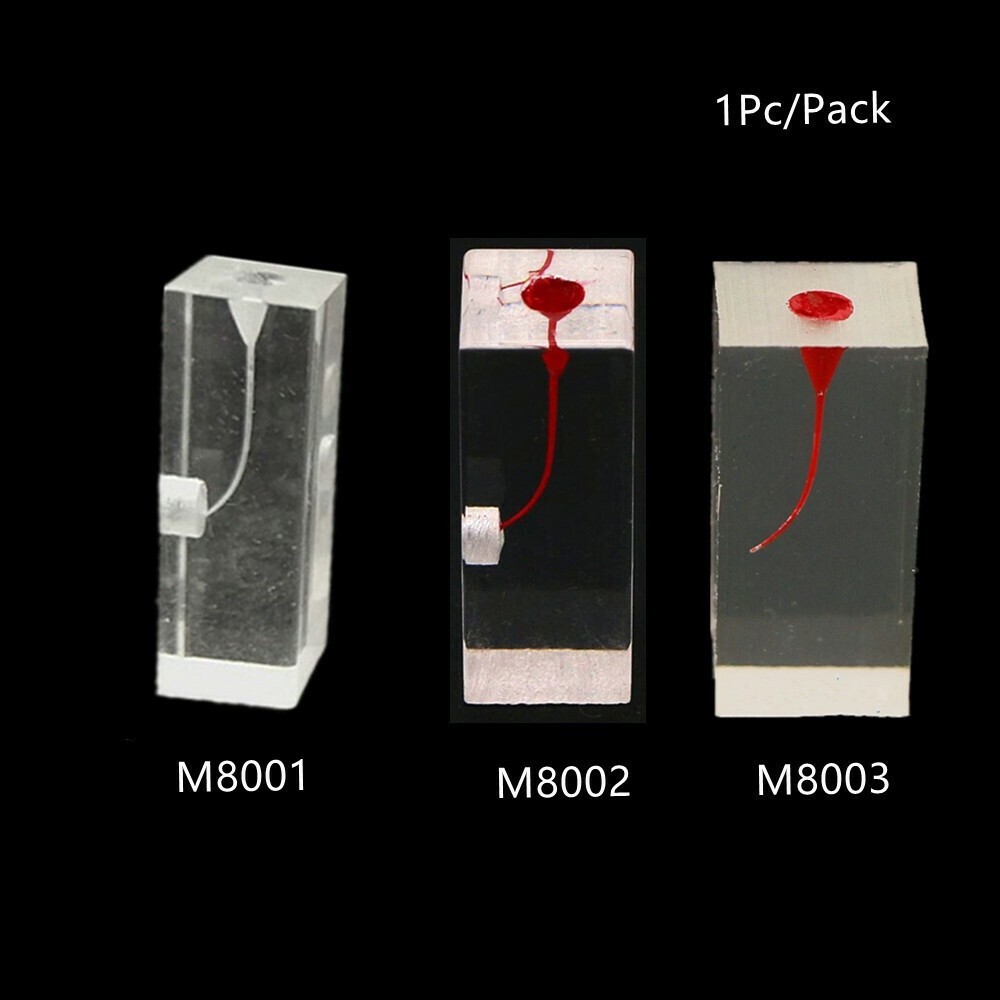 Dental Resin Training Study Endo Root Canal Teeth Model Practice Block RCT Pulp