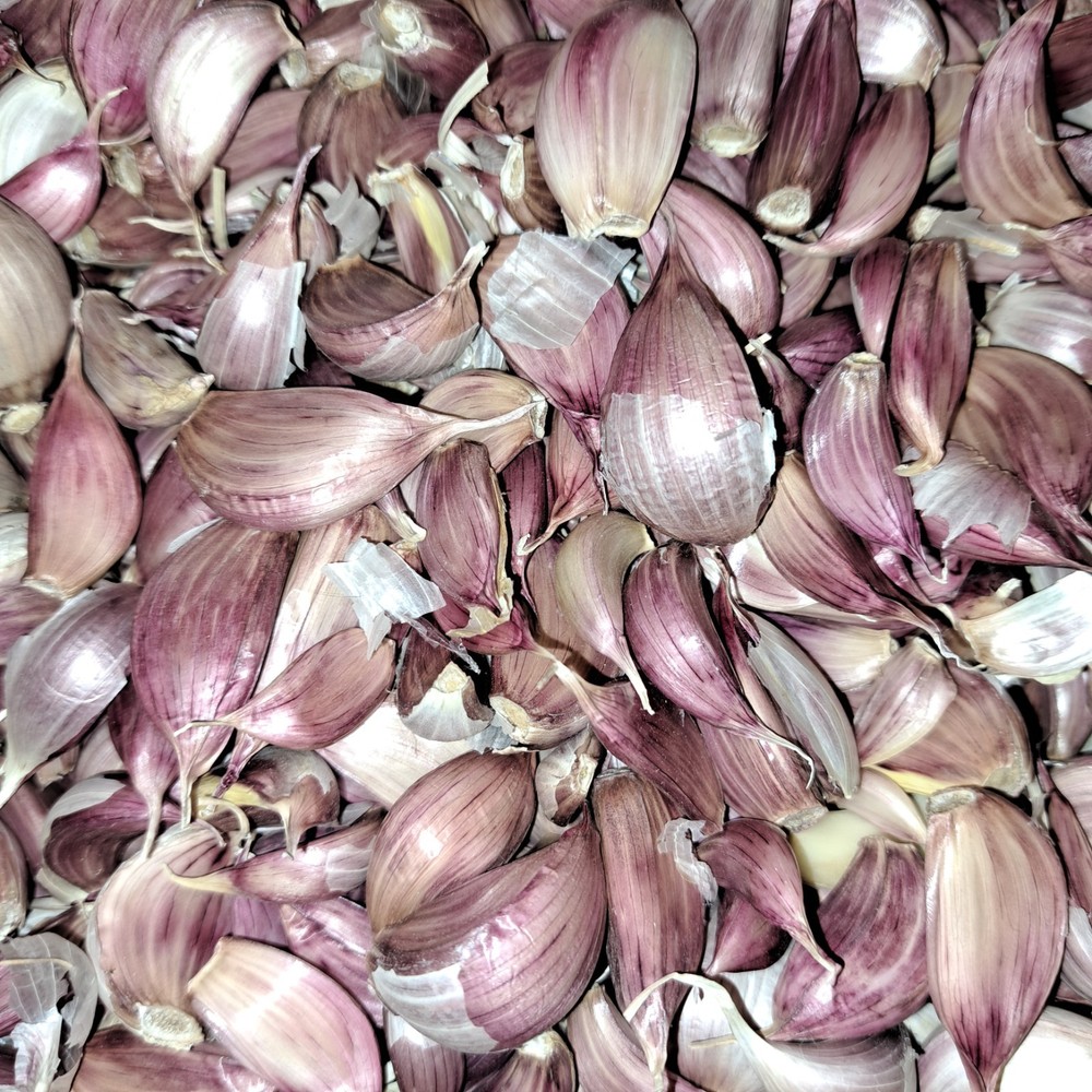 Aglio Rosso Creole Garlic Culinary/seed quality. available)