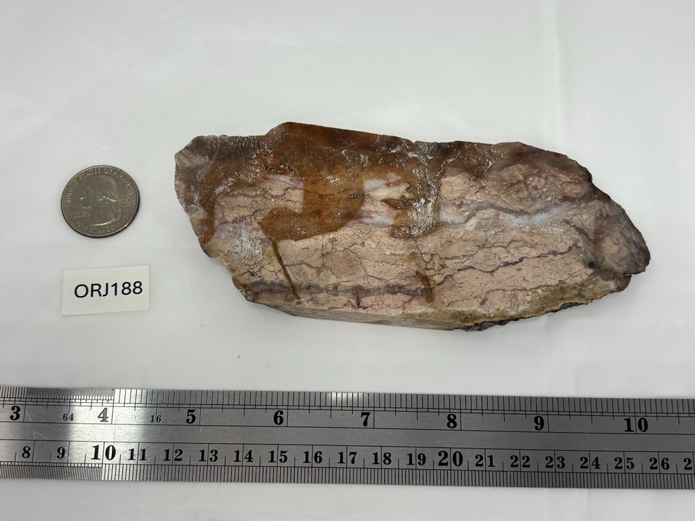 Pink Jasper/Agate Slab Cabbing Lapidary Combo Ship Avail