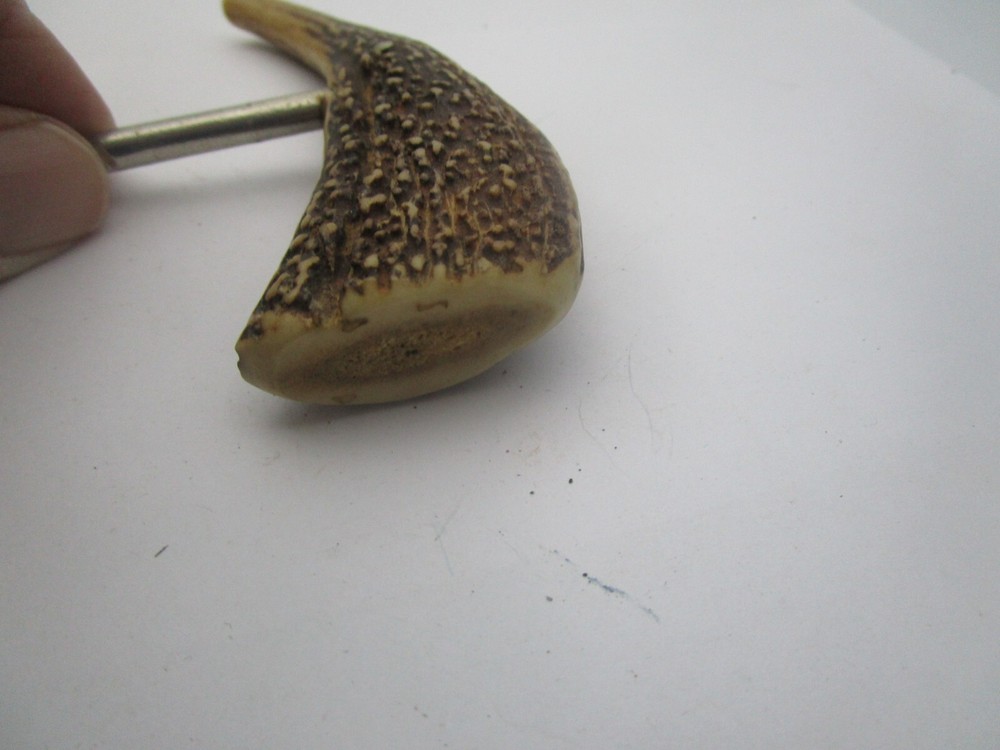 Antique Horn Handle Cork Screw