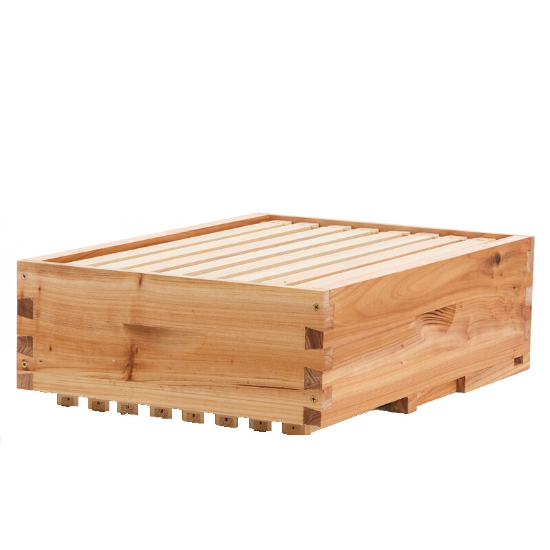 1 Layer Beehive Super Box Deep 10 Frame Wax Langstroth Beekeeping & 10X Frames