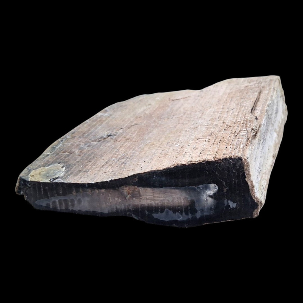Petrified Wood (Opalized & Agatized) Specimen (5/5)