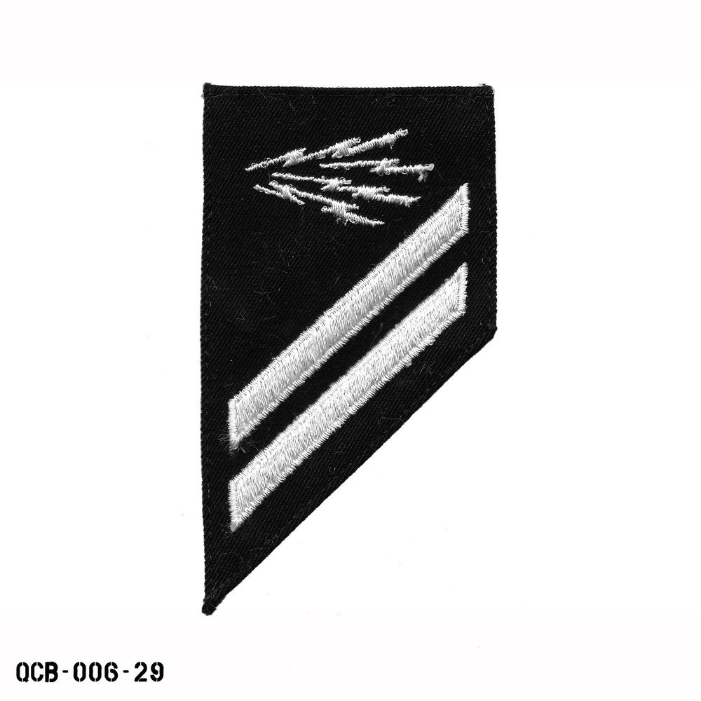 USN US Navy SA E2 Seaman Apprentice Info Systems Technician Patch ~ USA