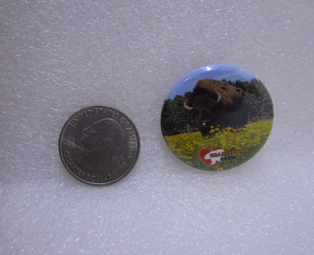 Buffalo Bearizona Cares Button Pin