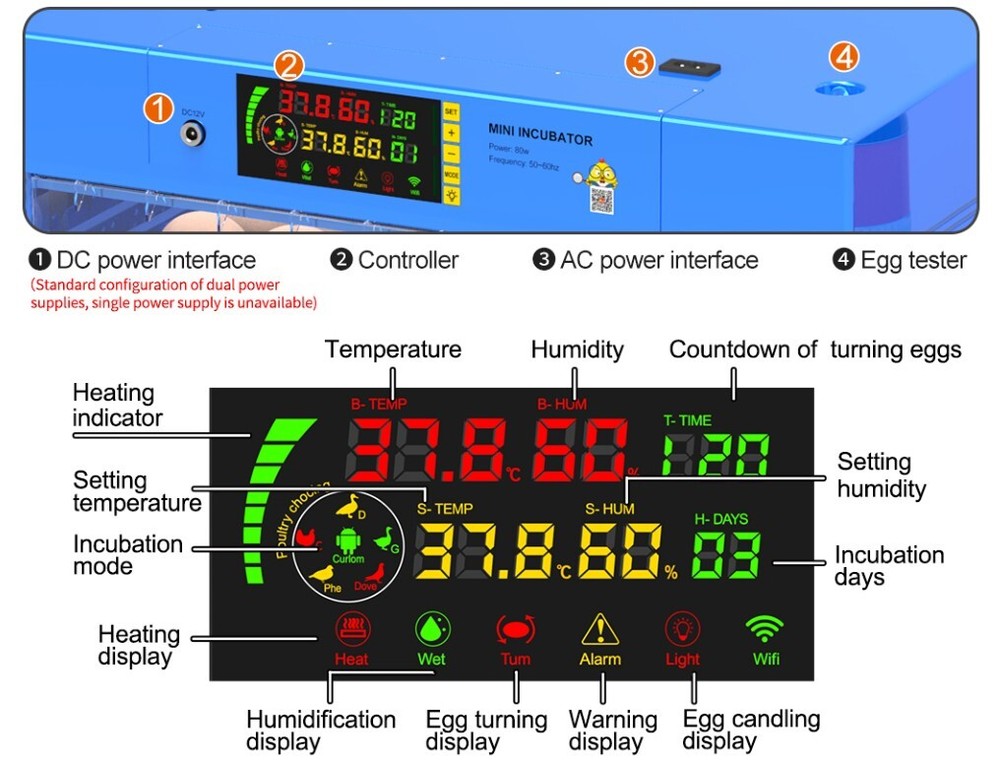 64 Eggs Automatic Egg Bird Incubator Poultry Hatcher Breeder Digital Display