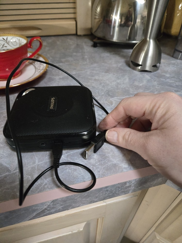 Philips Portable Wired Speaker Black 3.5mm Jack Square Plastic 2016