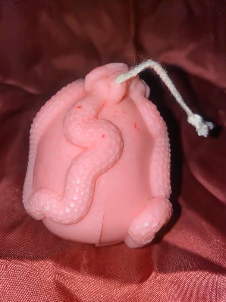 Pink Snake Skull Candle