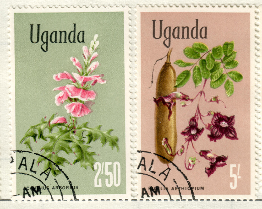 Uganda - 1969 Flowers