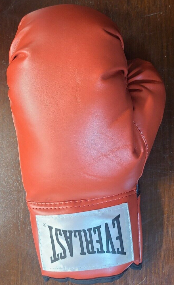 Everlast Boxing Glove
