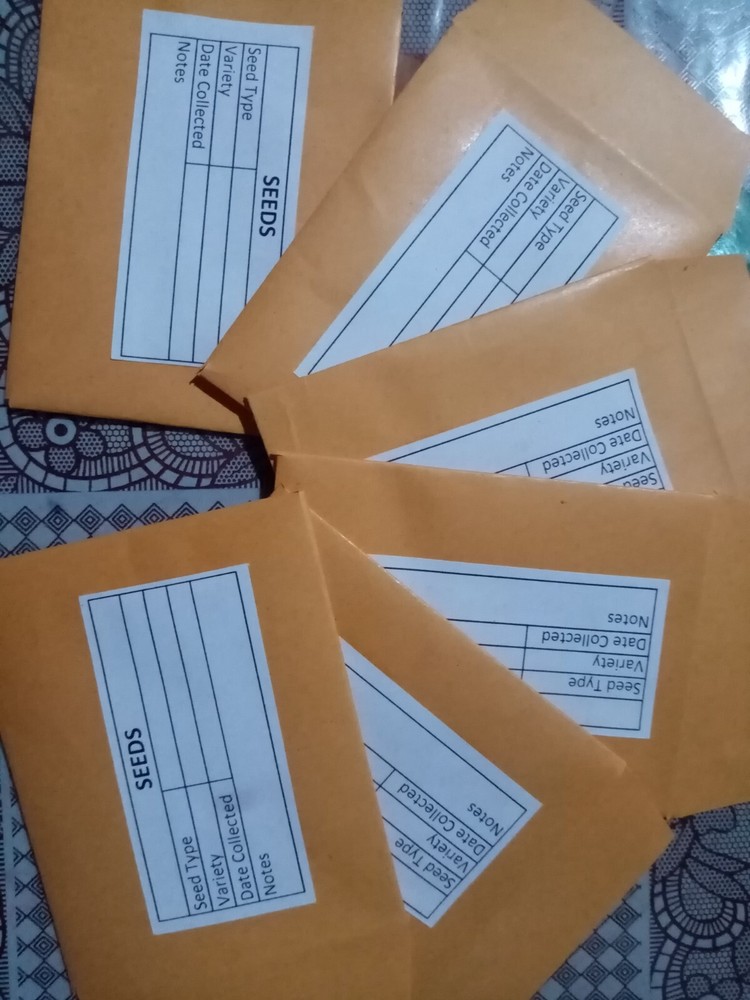 50Pcs Seed Saving Envelopes, Bulk 2.5x3 Empty 80gsm Packets Seeds container pack