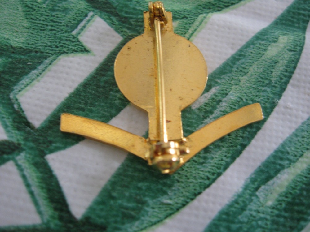 VTG USN US NAVY ENGINEERING AIDE 3rd CLASS PIN