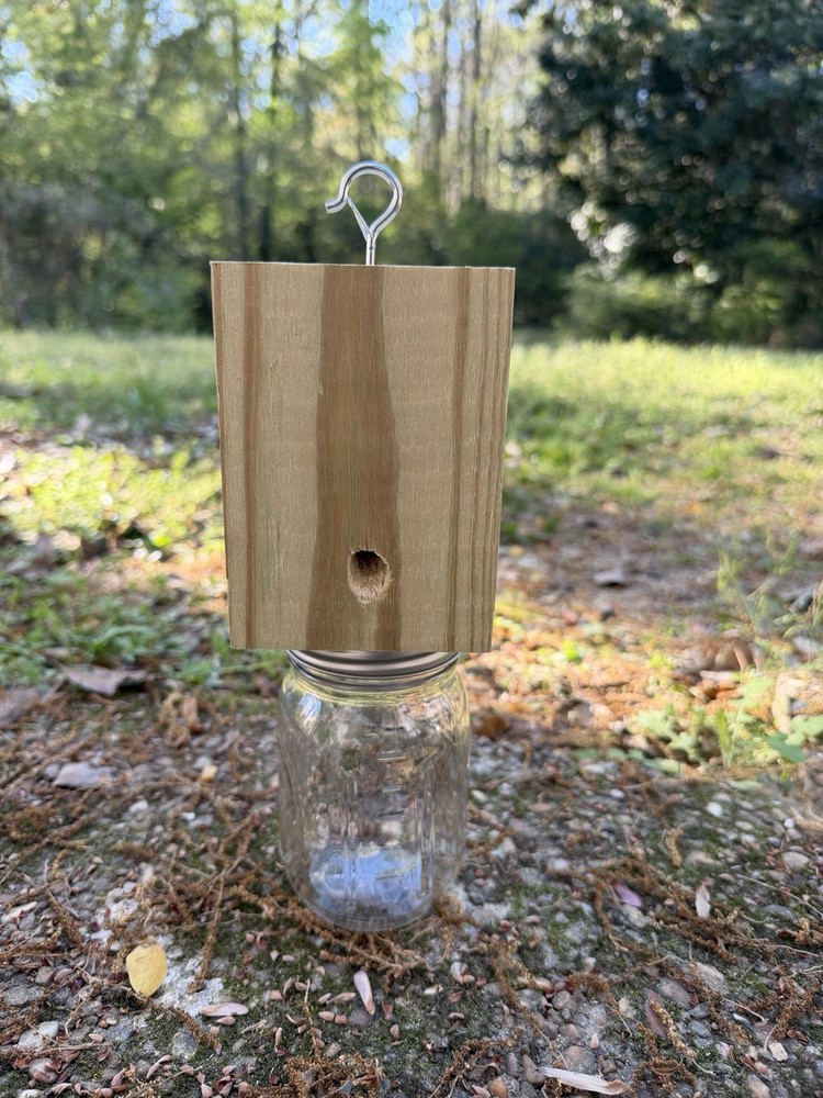 Handmade Carpenter Bee Trap With Safety Latch Hook