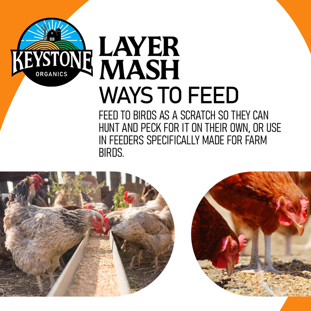 Keystone Organics USDA Layer Mash Chicken Feed, 44lbs