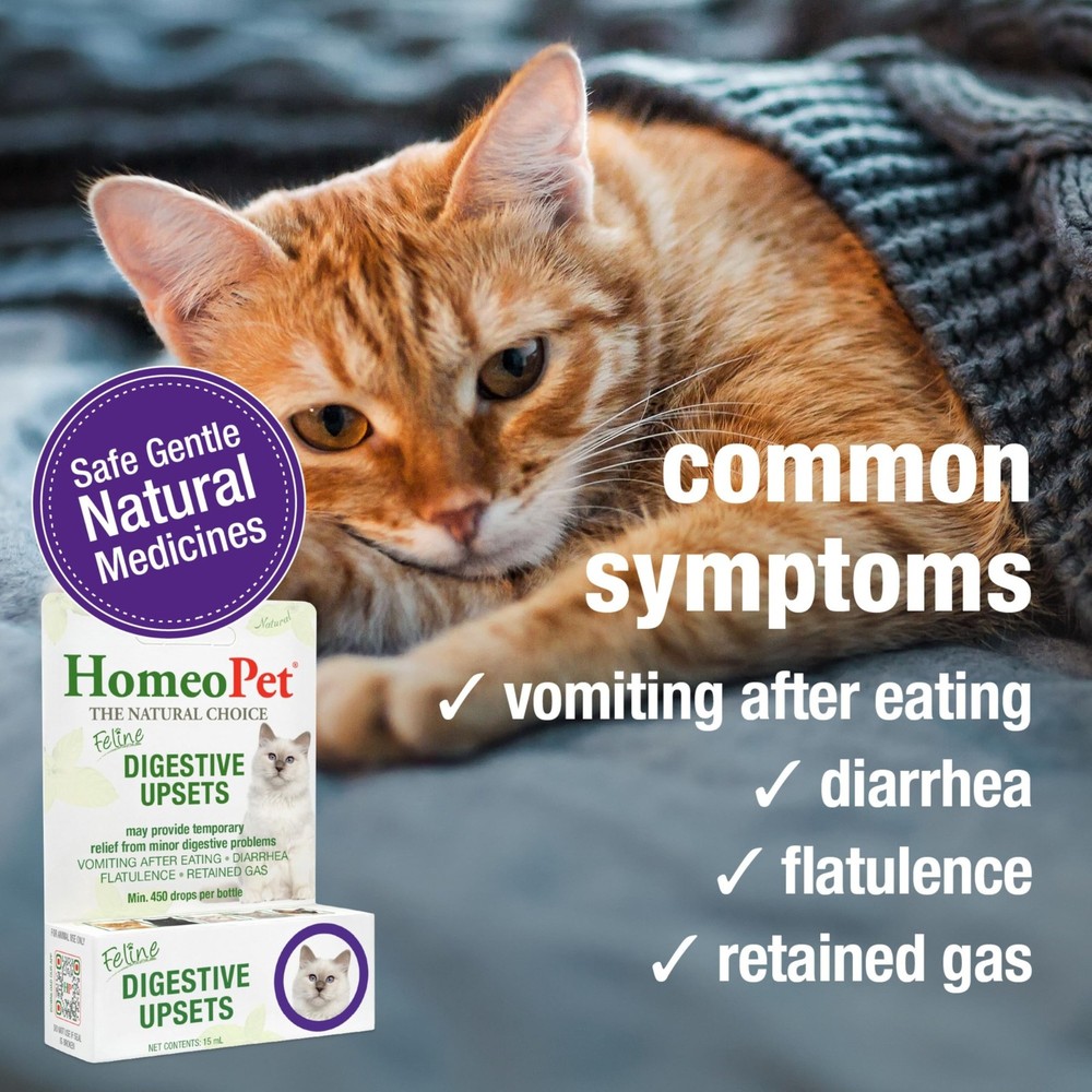 Natural Cat Digestive Support for Upsets - 15ml Safe Solution
