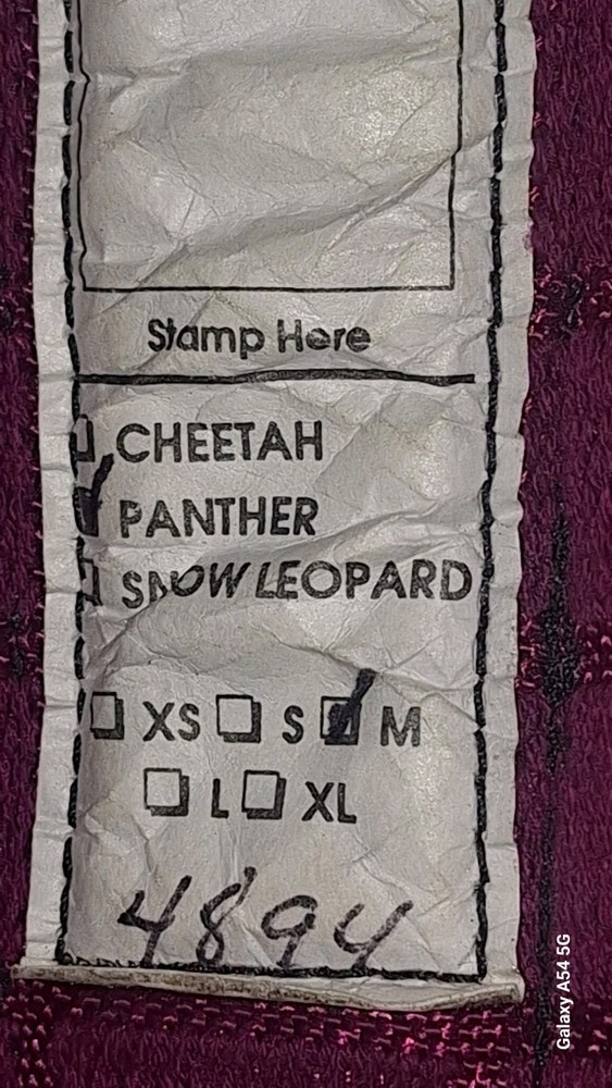 BlueWater Panther Climbing Harness