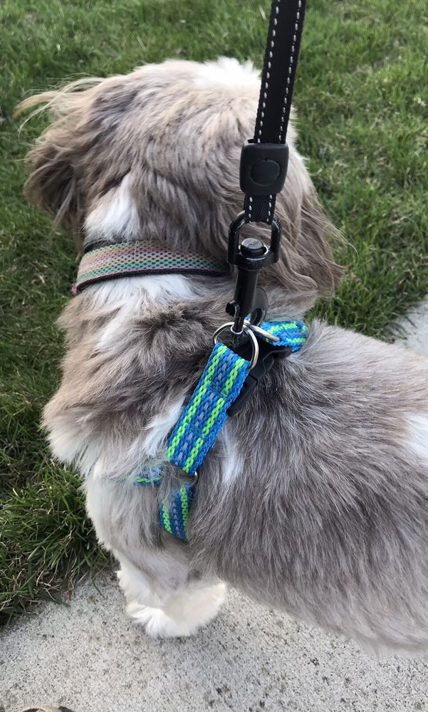Dog Step-in Adjustable Nylon Strap Harness (Small)