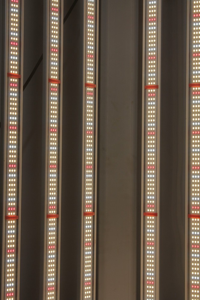 650w Full Spectrum LED Grow Light 8 bars Dimmable Hydroponics