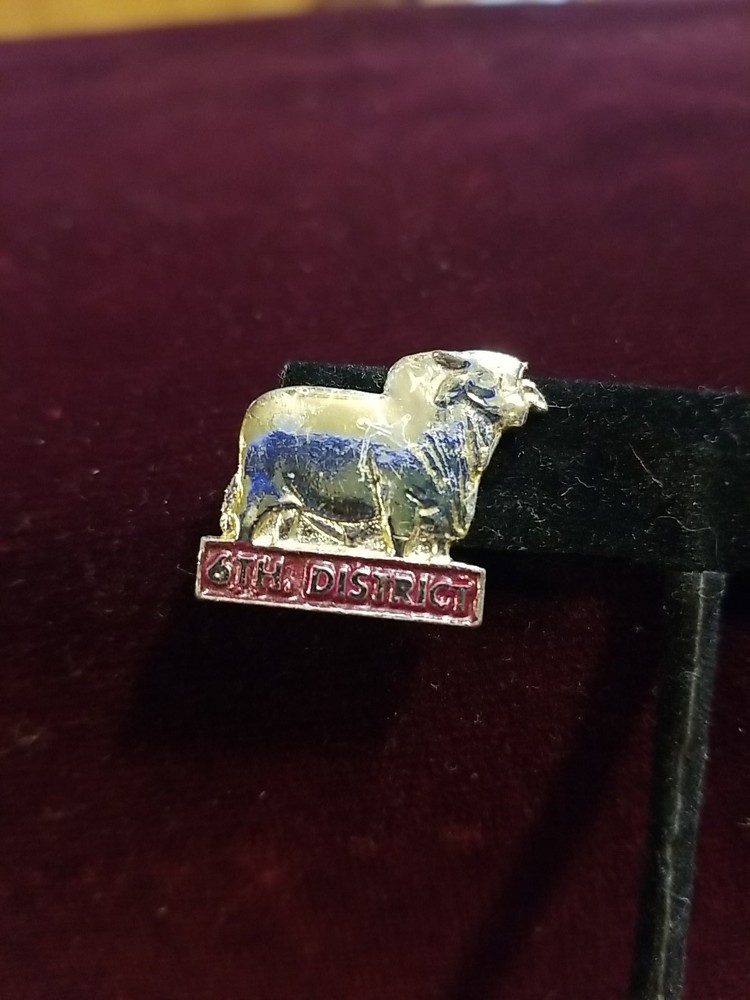 Brahman 6th District Pinback Silvertone 1"