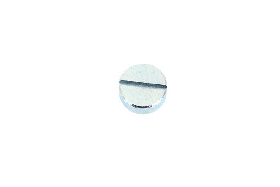 Oil Pump Plug for Harley-Davidson