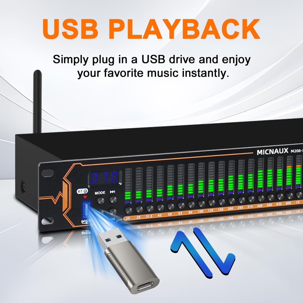 Equalizer for Home Stereo Audio System, Professional 31-Band Graphic Equalize...