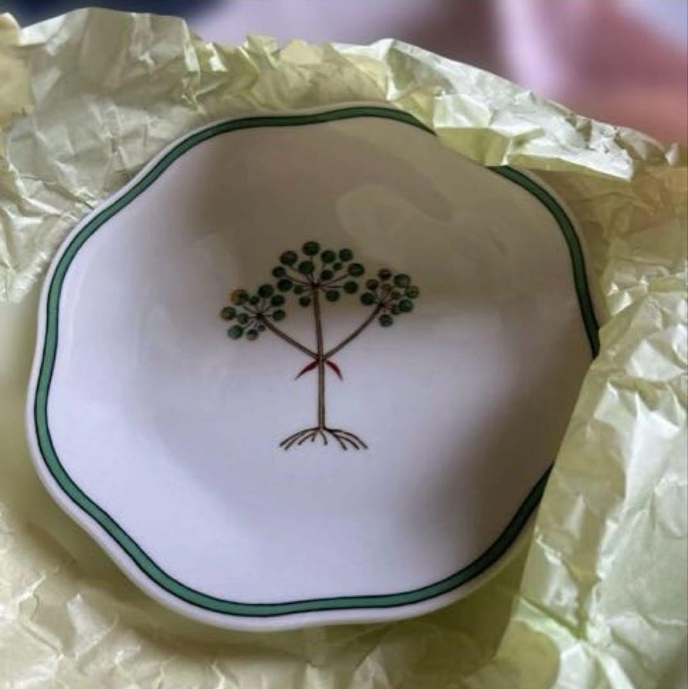 Tachikichi Plate 5 Set