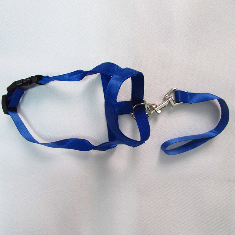 Gentle Halter Leash Gentle Leader Head Collar No Pull for Training Dog Muzzle ✨