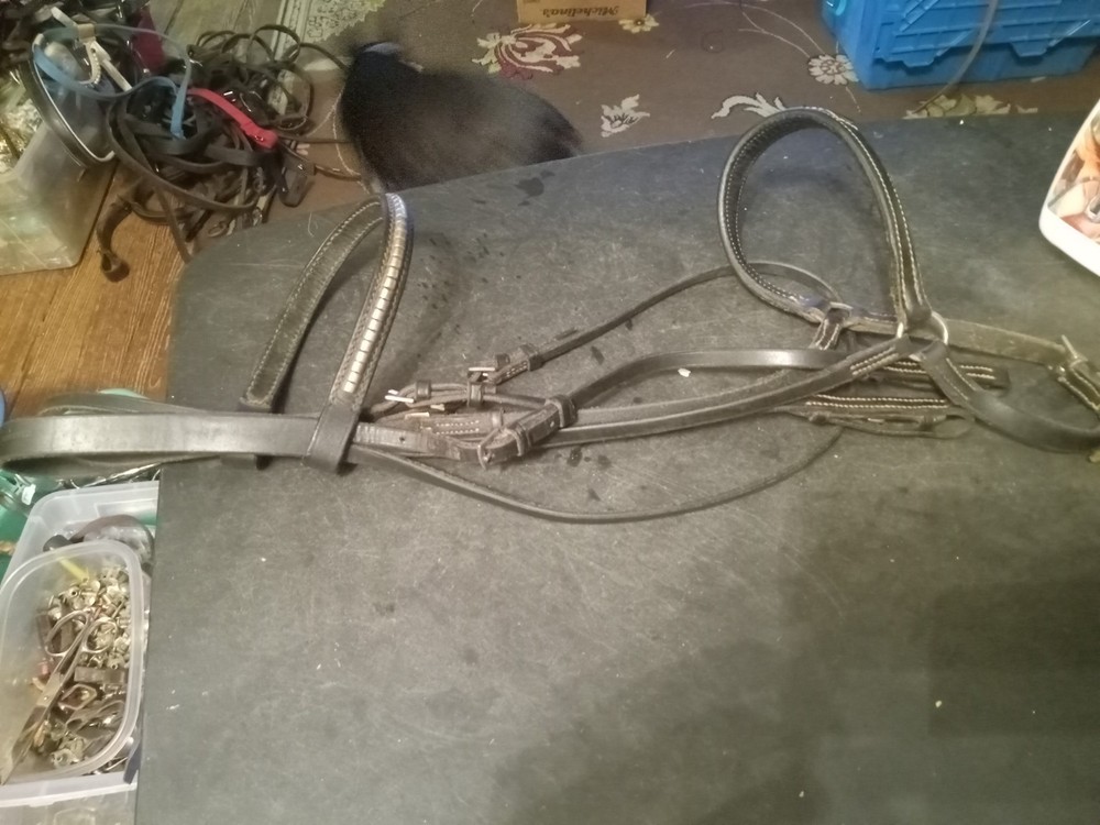 English headstall and cavesson Lemetex