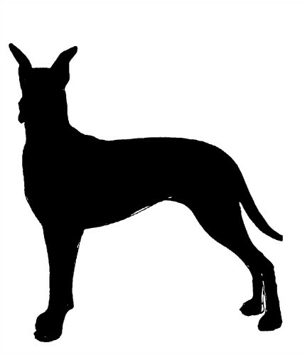 Blueprint Plan For Yard Shadow GREAT DANE