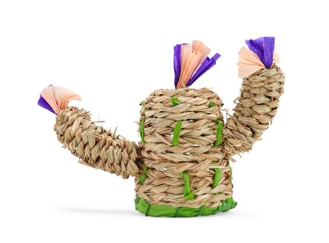 You and Me Cactus Chewable Hideaway, Medium (for hamsters, gerbils)