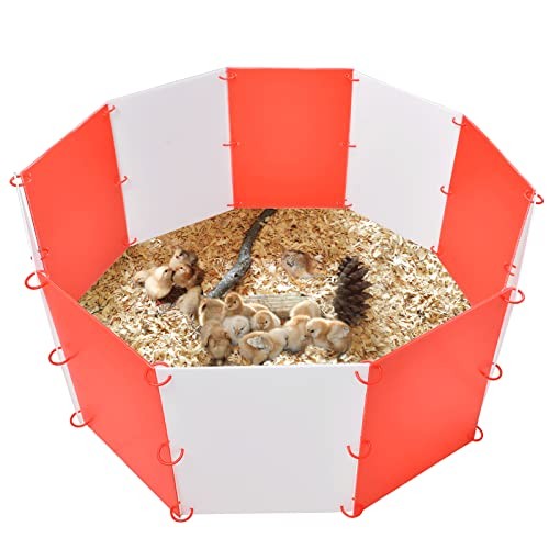 Brooder Box for Chicks, Adjustable Shape & Large Chicken Brooder Start Kit--A