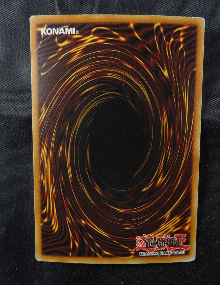 Structure Deck Dragon's Roar COMPLETE with Anime Sleeves - 1st Edition - SD1