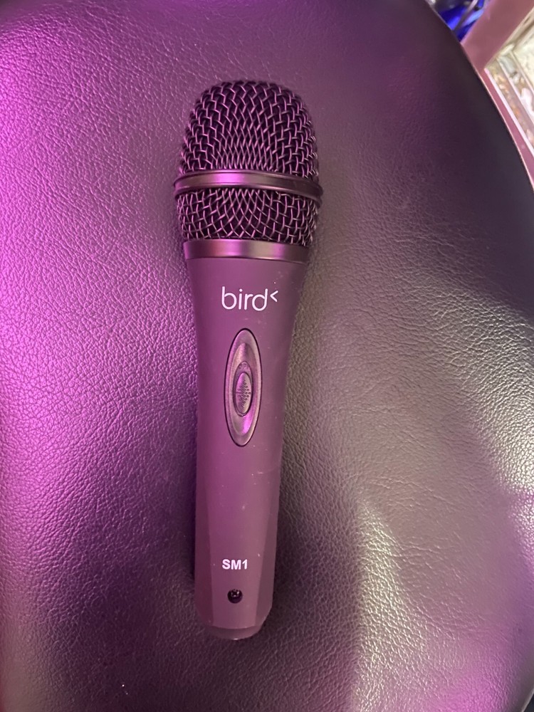 Bird SM1 Wired Microphone